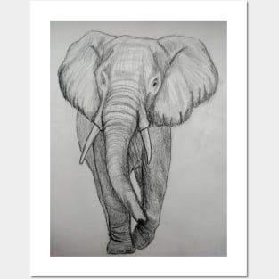 Walking elephant Posters and Art